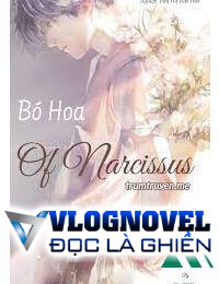 Bó Hoa Của Narcissus